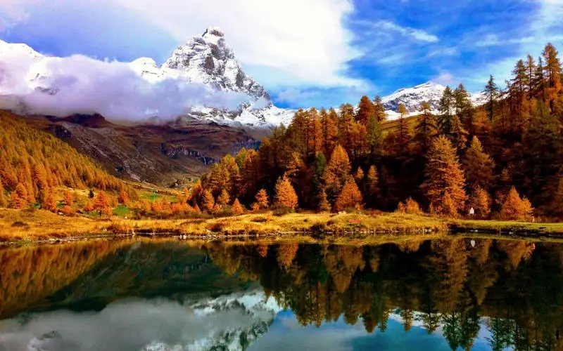 信息化网络化电子